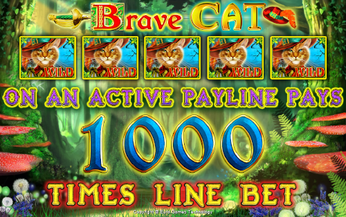Brave Cat