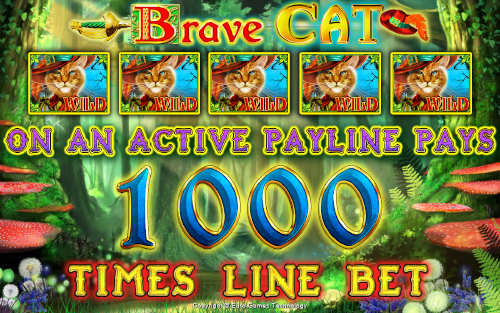 Brave Cat 