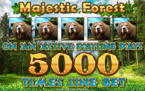 Majestic Forest 